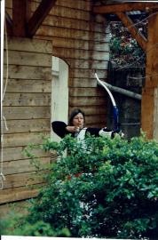 Abat Oiseau 1997-2